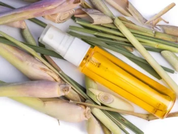 Lemongrass Oil Extraction Global Essential Oil, Organic Virgin Coconut Oil