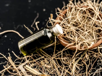 vetiver oil indonesia