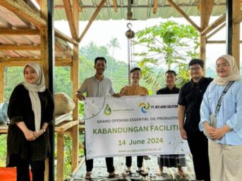 Global Essential Oil, Blog