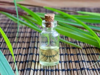 citronella essential oil, citronella java oil, citronella oil manufacturers, global essential oil id, citronella coconut oil, citronella aromatherapy, citronella essential oil, catnip oil, insect, citronella oilcitronella aroma oil, citronella as mosquito repellent, Citronella Oil Insect Repellent, citronella essential oil, citronella tea, citronella scent, citronella oil, pain relief, citronella essential oil, antispasmodic