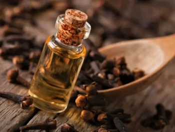 clove oil