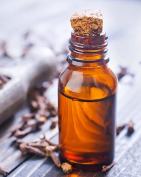 Clove oil supplier from indonesia, clove oil supplier, clove syzygium aromaticum, essential oils for depression, clove tree, clove leaf, clove oil, clove tea, clove essential oil, Pure Clove Oil