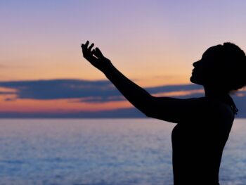 clove leaf oil, fresh cloves, clove oil for hair growth, clove oil for dental pain