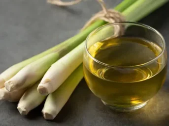 bulk citronella oil