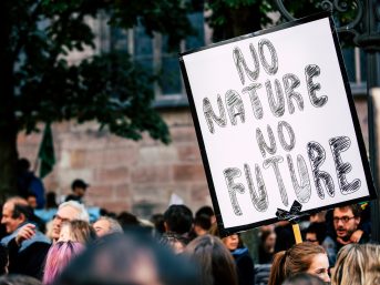 climate, agarwood, production, essential oil