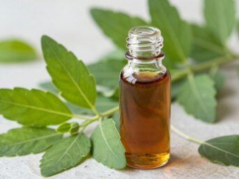 Patchouli leaves and oil bottle, Indonesia's top producer.