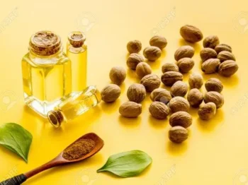 nutmeg essential oil manufacturer Indonesia
