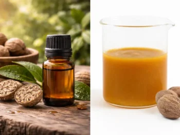 nutmeg oil vs oleoresin