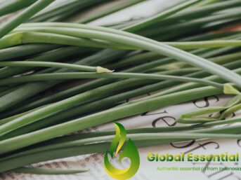 lemongrass essential oil