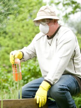 Photo by CDC citronella essential oil for pest control, citronella java oil for pest control, citronella oil manufacturers, global essential oil id